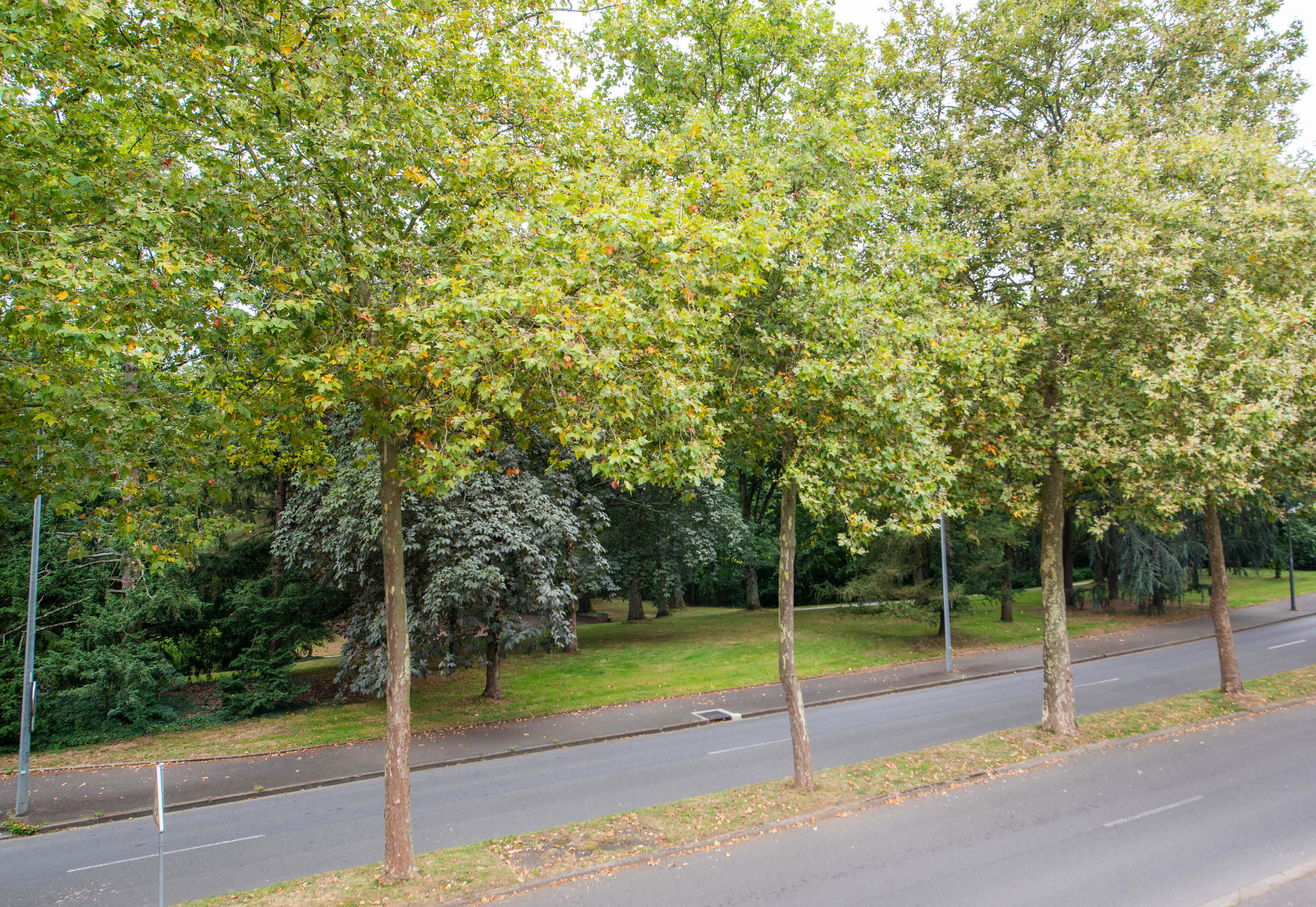 B&B HOTEL à Cholet, dans le centre, proche du Puy du Fou