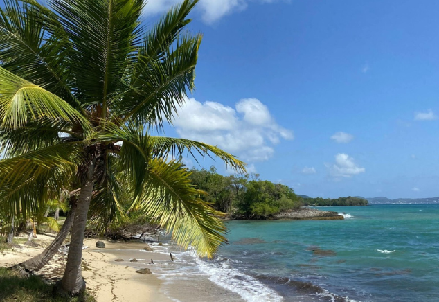 Plage de Sainte-Anne en Martinique