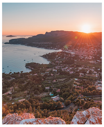 cassis-400_0.jpg cassis-400_0.jpg