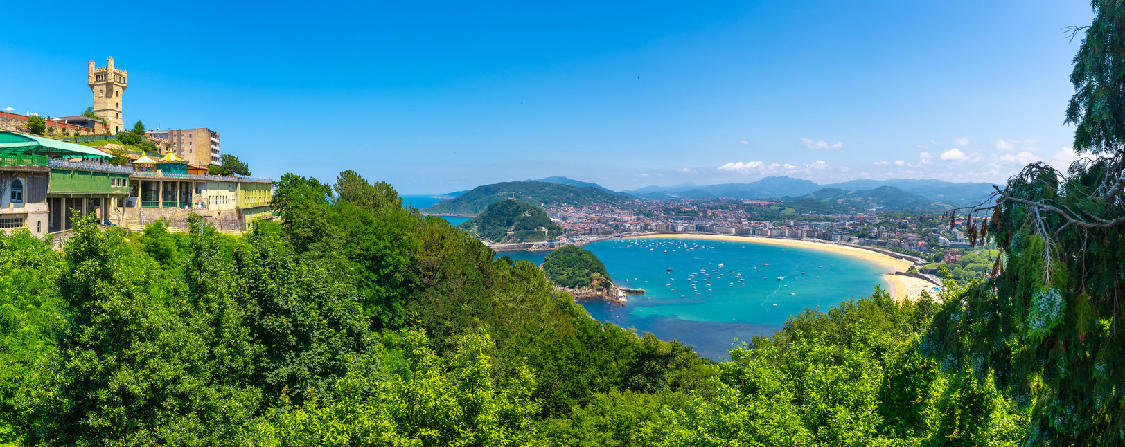 iStock-1868325520.jpg iStock-1868325520.jpg