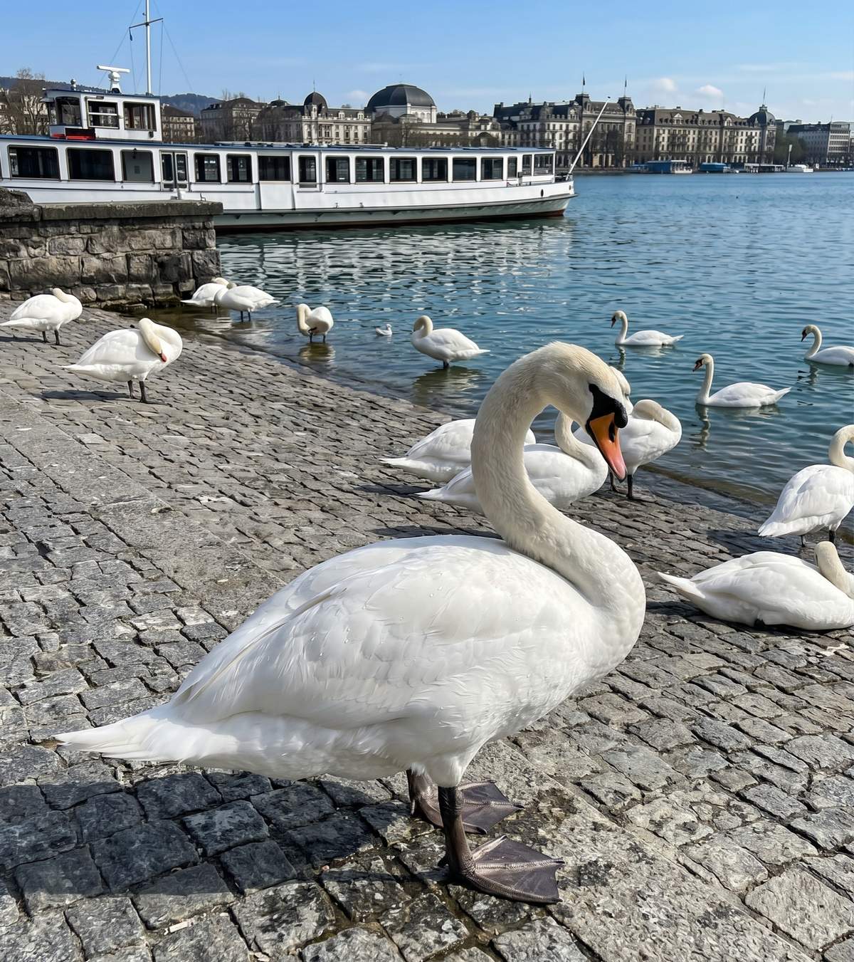 aeroport-zurich-guide_idees-d-excursions-selon-la-saison.jpg