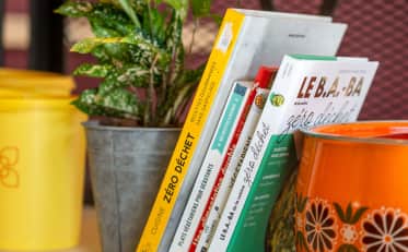 Libri di cucina sostenibile e pianta verde nell'accogliente salotto della biblioteca dell'hotel B&B HOME