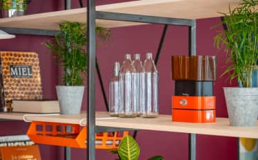 Scaffalatura moderna per hotel con piante decorative e accessori da cucina vintage presso B&B HOME