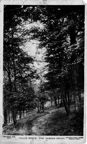 A postcard of Callis Woods