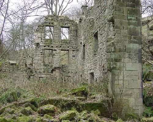 Remains of Staups Mill 2003