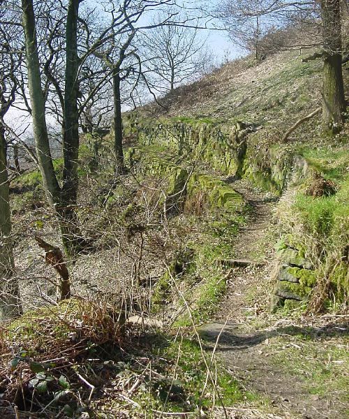 Track below Winters leading down to Mount Olivet Chapel