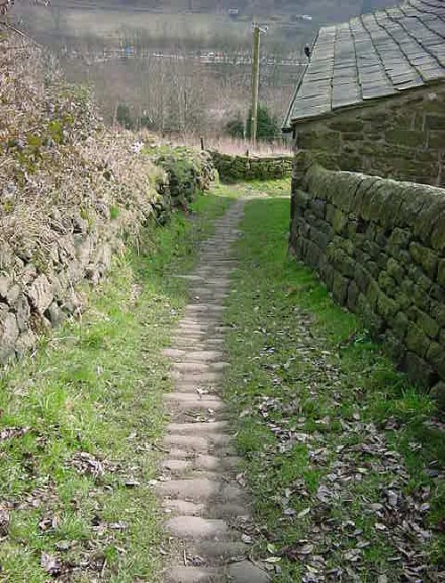 The Pennine Way near Lacey Laithe on thenorth hillside