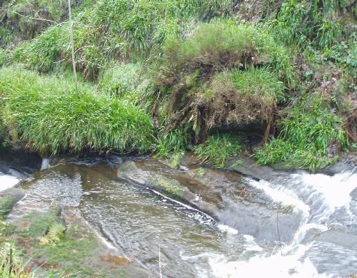 Staups dam intake from the clough