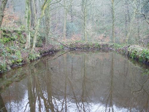 Cow Bridge dam