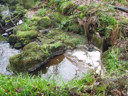 Cowbridge dam intake