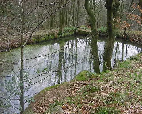 Cow Bridge dam