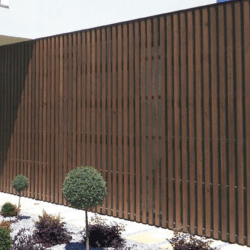 Imagen Blog (2).png