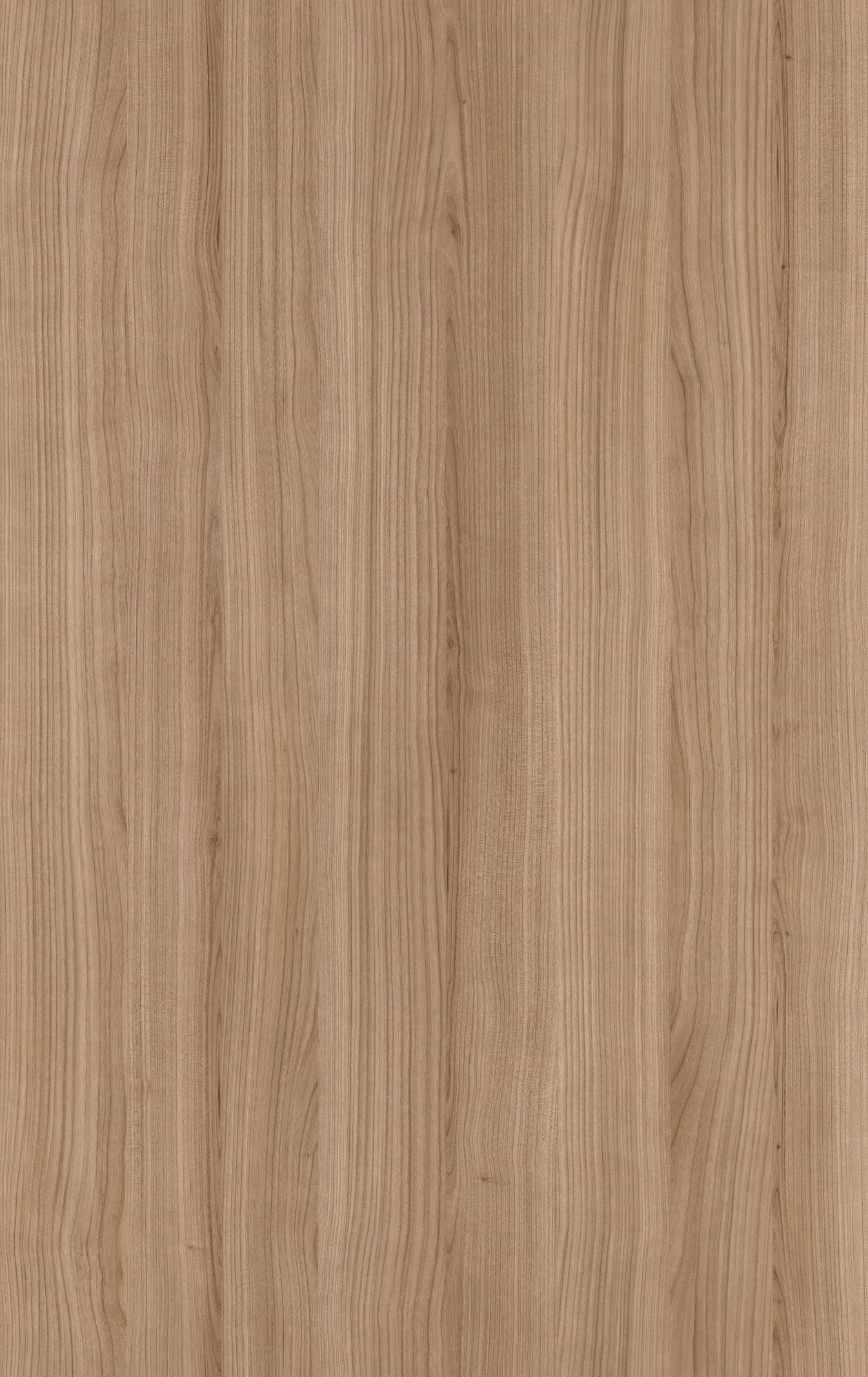 2. M6360_Riva_Earth_Fun.webp