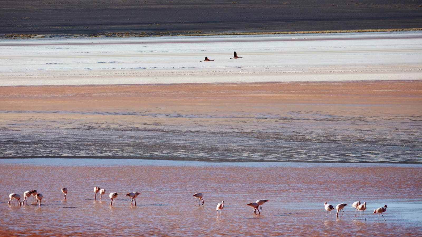 Laguna_Colorada_II_Rudi_Sebastian_Photography.jpeg