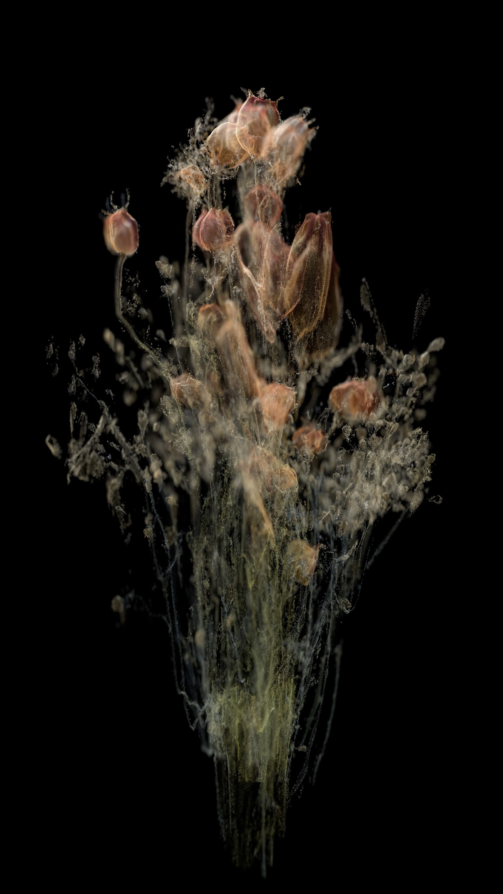 Cloudburst_10_David_Lisser_Photogrammetry.jpeg