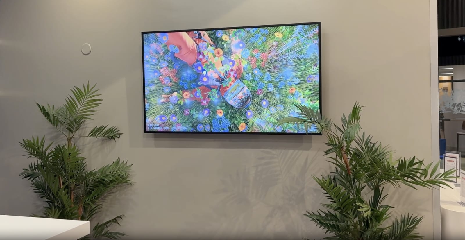 Screenshot 2025-02-25 at 09.46.03.jpg