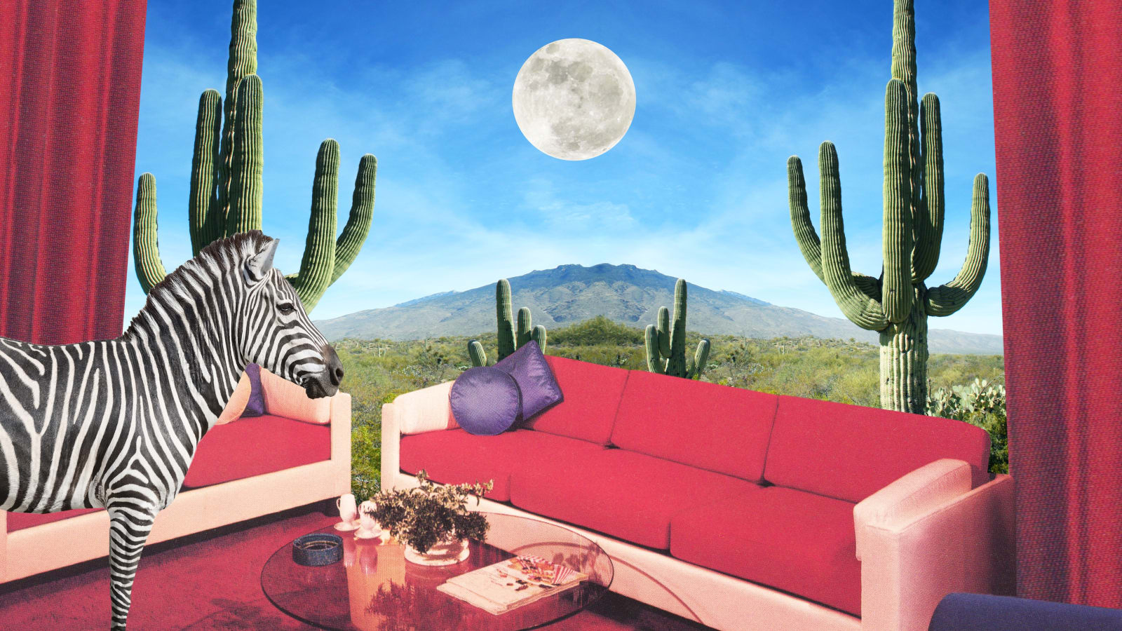 Saguaro_Stripes_Karen_Lynch_Collage.jpeg