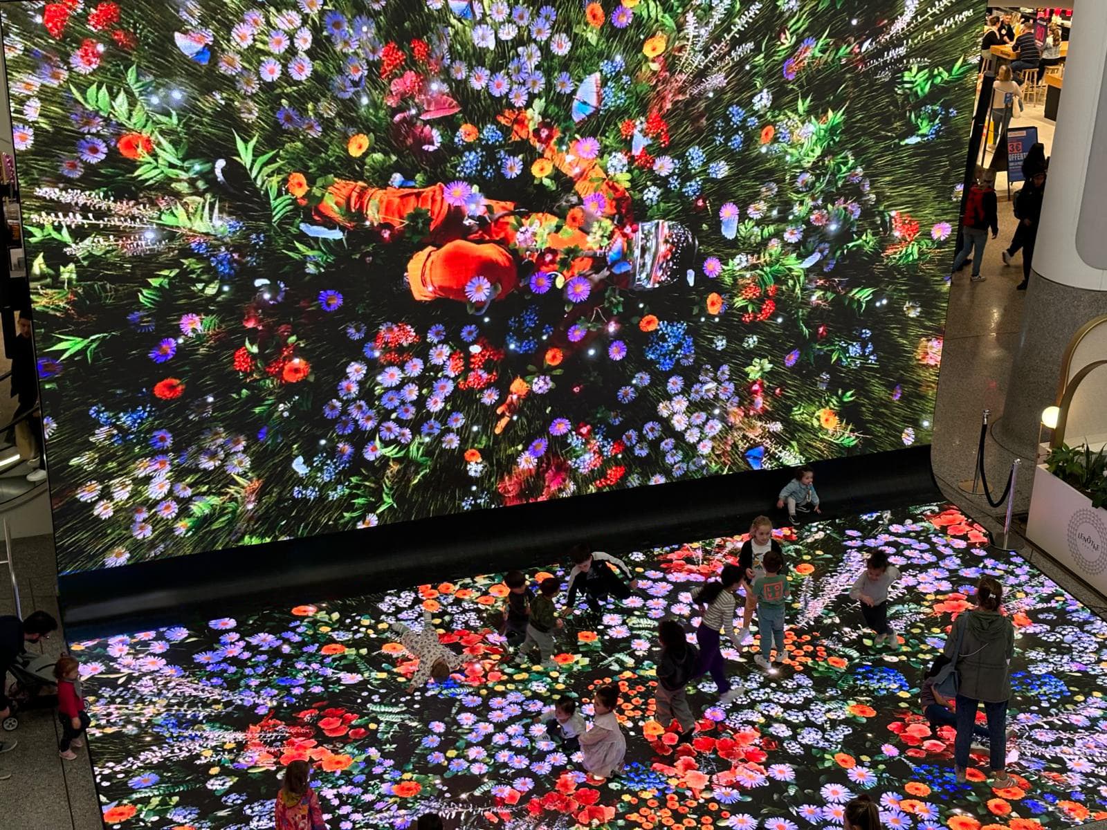 PHOTO-2024-05-02-17-39-14 3.jpg