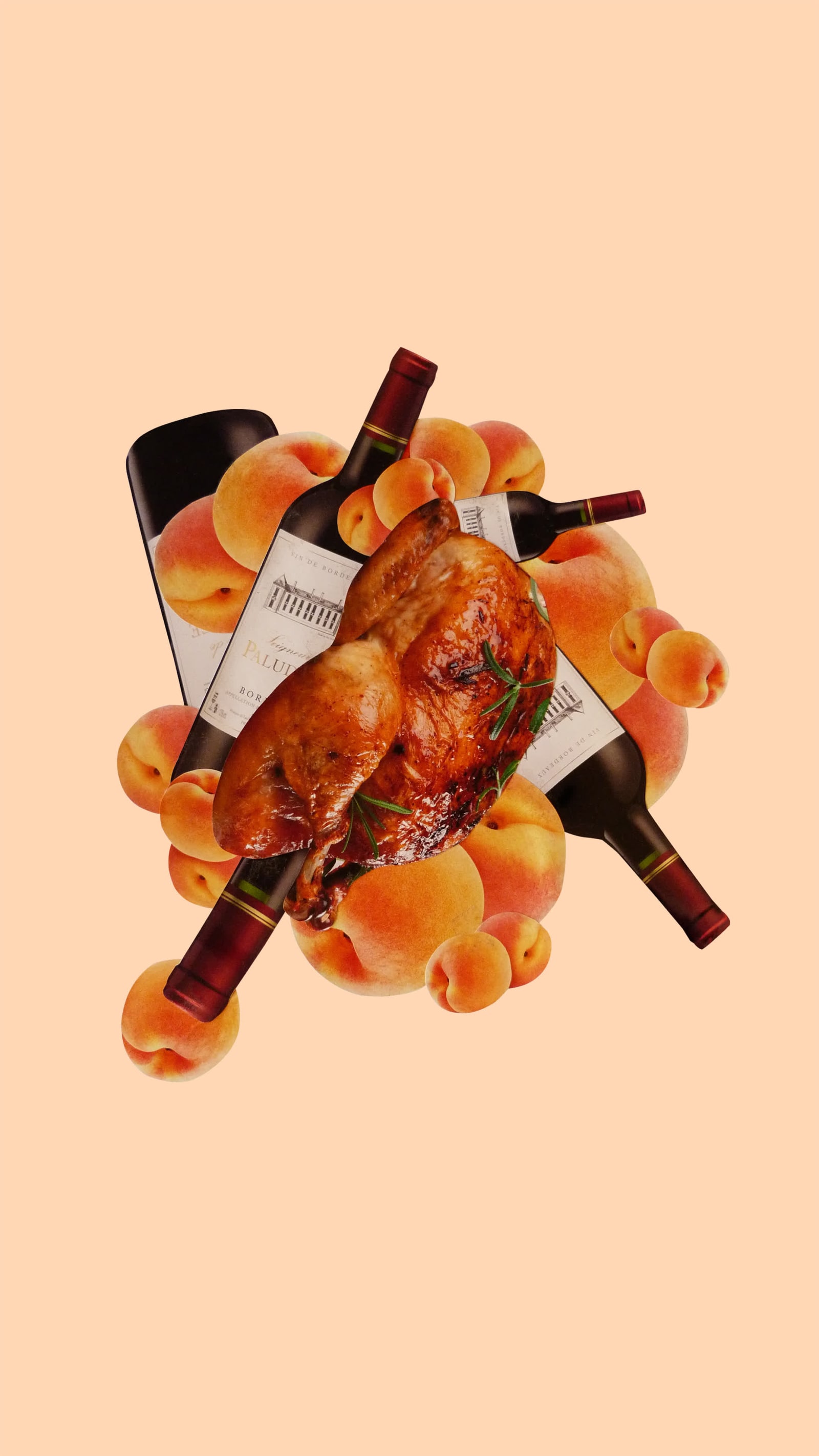 Poulets_Abricots_-_Vertical_Fanny_Garnichat_Collage.jpeg