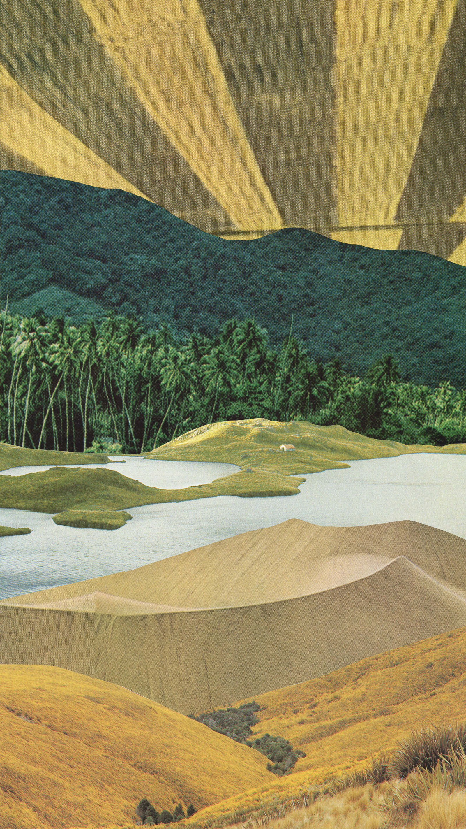 Global_Landscape_Karen_Lynch_Collage.jpeg