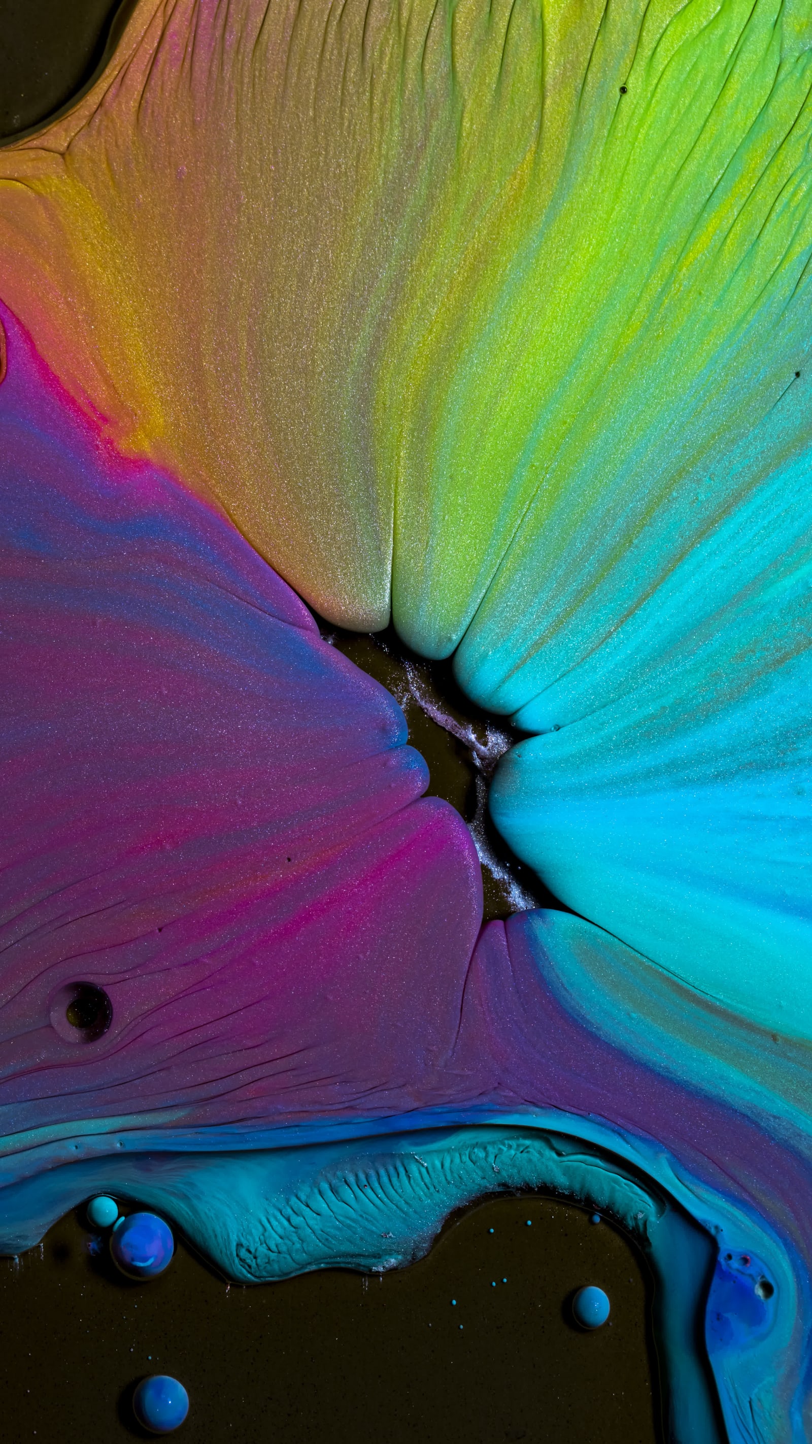 Untitled_XIII_-_Vertical_Alberto_Seveso_Photography.jpeg