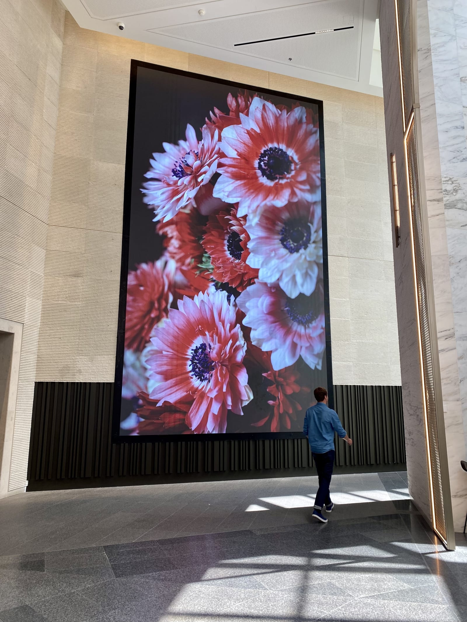 Jamie Scott @Tour first .jpg