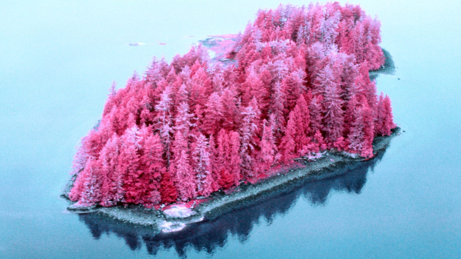 Tofino_From_the_Air_Maya_Beano_Photography.jpeg