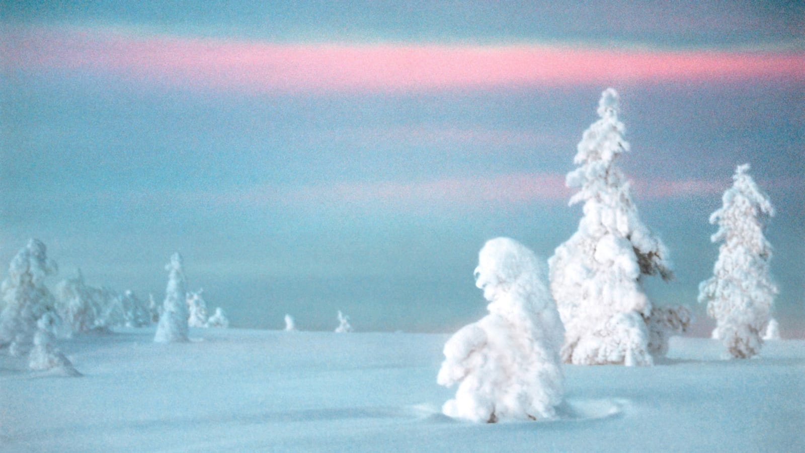 Lapland_Maya_Beano_Photography.jpeg