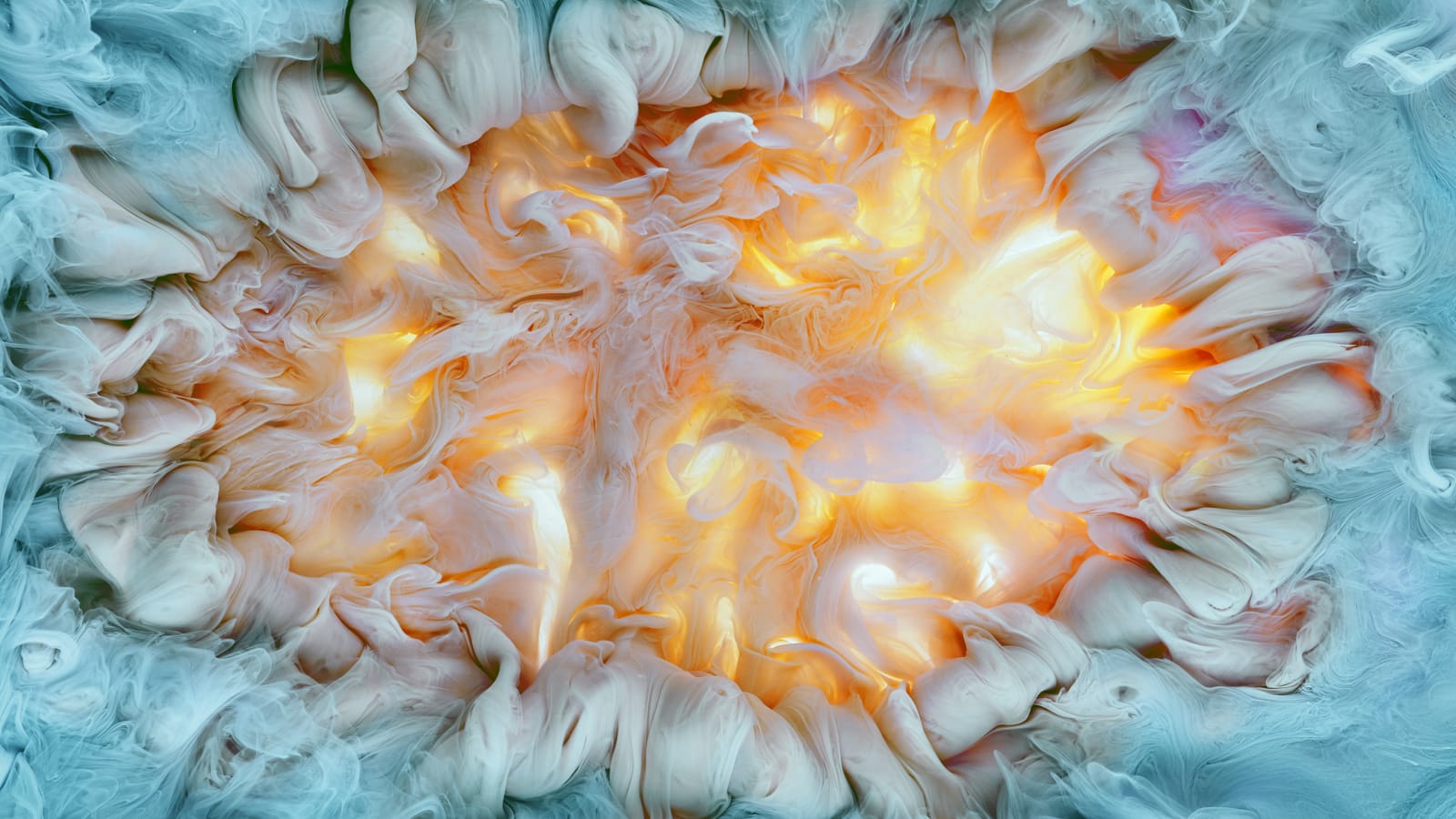 Aqueous_Flowers_II_Mark_Mawson_Photography.jpeg