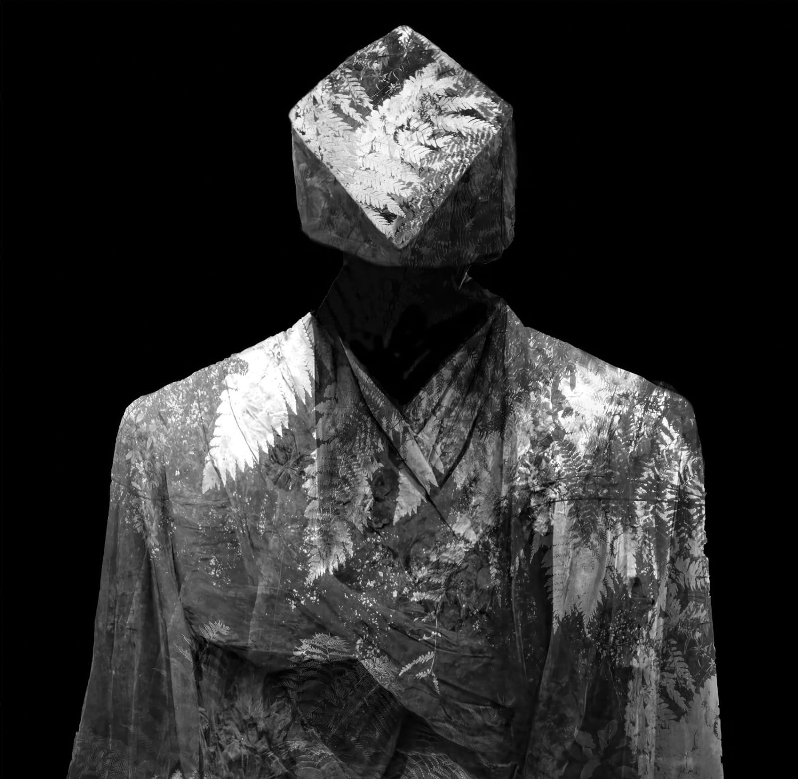 imageedit_1_8162747500 2.jpg