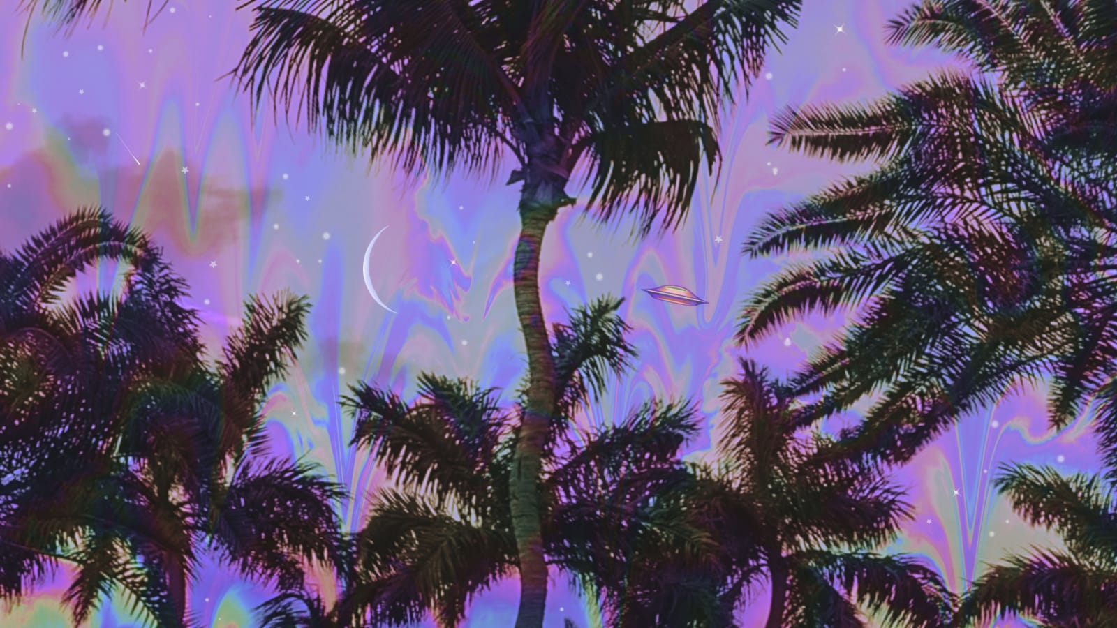 Palm_Visions_Cajuca_Collage.jpeg