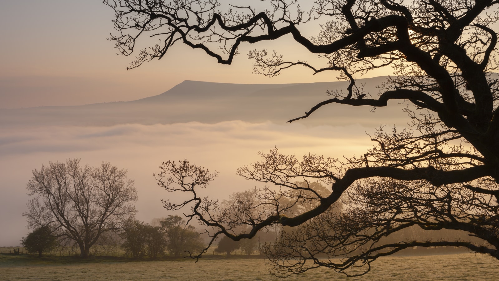 Brecon_Beacons_Morning__Wales_Adam_Burton_Photography.jpeg