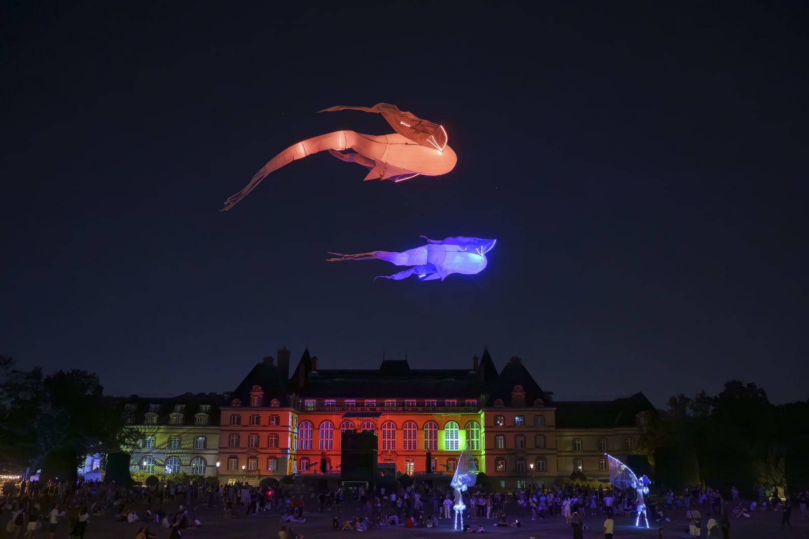 25 06 20 PPLV__DSC0427 (1).jpg