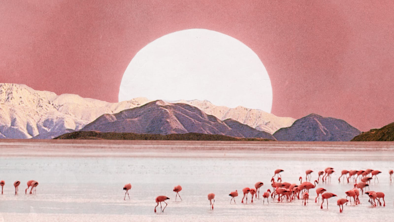 Flamingo_Sky_Karen_Lynch_Collage.jpeg