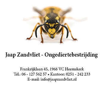 Ongediertebestrijding Zandvliet