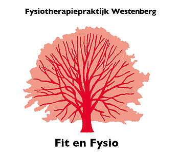 Fysiotherapiepraktijk Westenberg