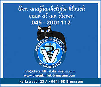 Dierenkliniek Brunssum : De Dikke Kater