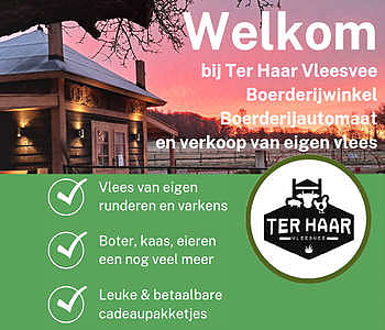 Vleesvee Ter Haar