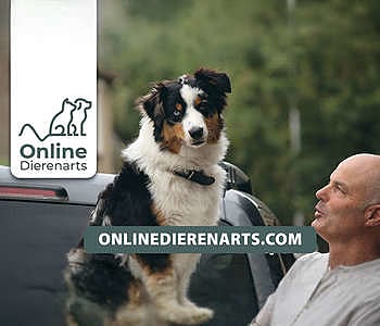 Thuis Dierenarts Mark