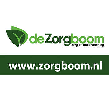 De Zorgboom