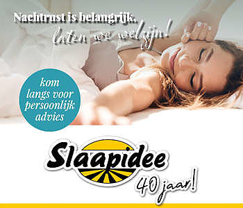 Slaapidee