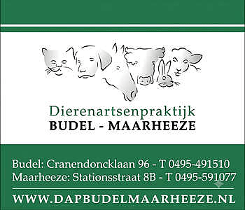 Dierenartsenpraktijk Budel-Maarheeze