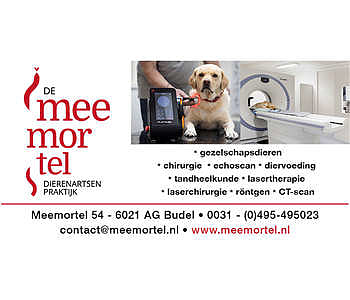 Dierenartsenpraktijk De Meemortel