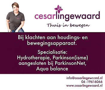 Cesar Lingewaard