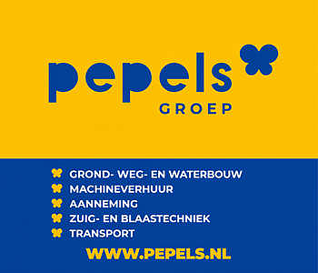 Pepels groep