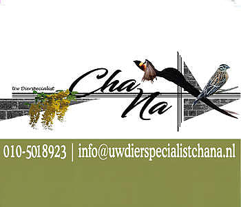 Uw Dierspecialist ChaNa