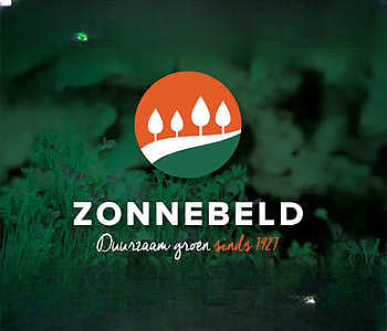 Zonnebeld