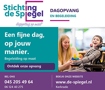 Stichting de Spiegel