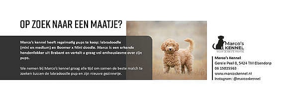 Marco?s Kennel