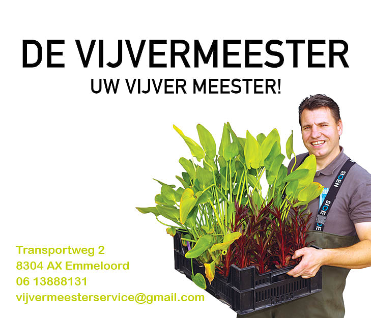 Vijvermeester.nl
